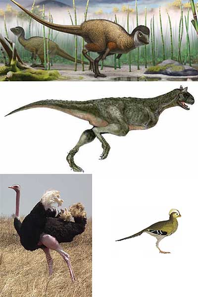 Linnut ja dinosaurukset
