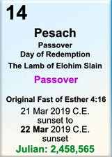 pesach.jpg