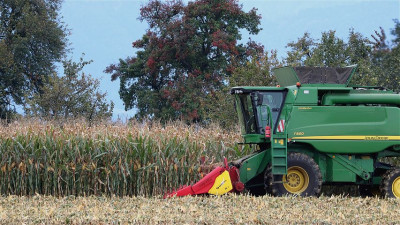 corn-harvest-4533420__480.jpg
